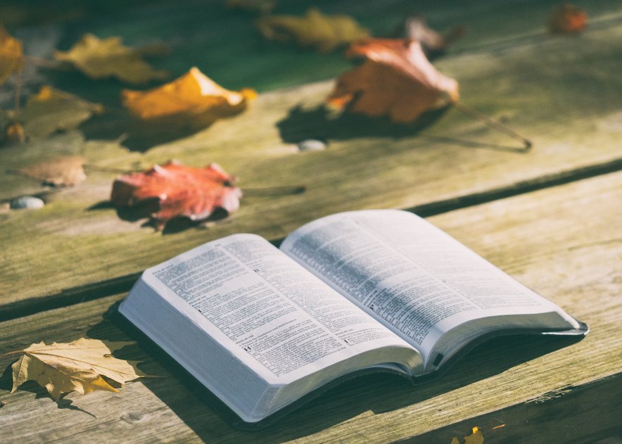 Bible with flowers