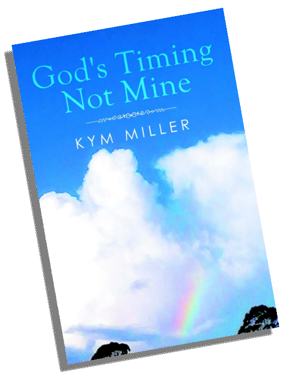 God's Timing Not Mine - book cover