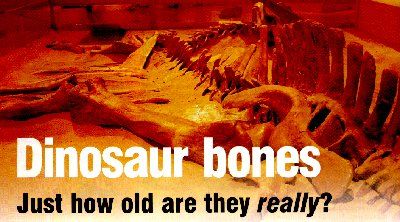 Dinosaur Bones. Just How Old Are They Really?