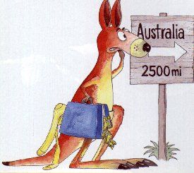 Kangaroo travelling to Australia