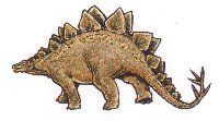 Stegosaurus